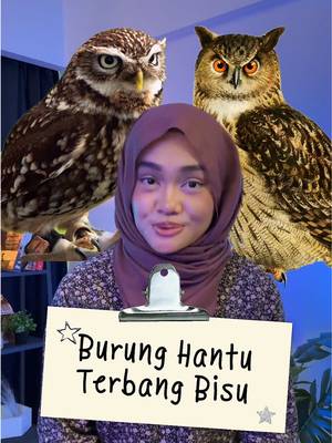 Oh baru tahu burung hantu ni terbang tak mengeluarkan bunyi pada sayapnya macam burung-burung yang lain 🦉🤩 #owl #BurungHantu #trivia #fyp #kicau